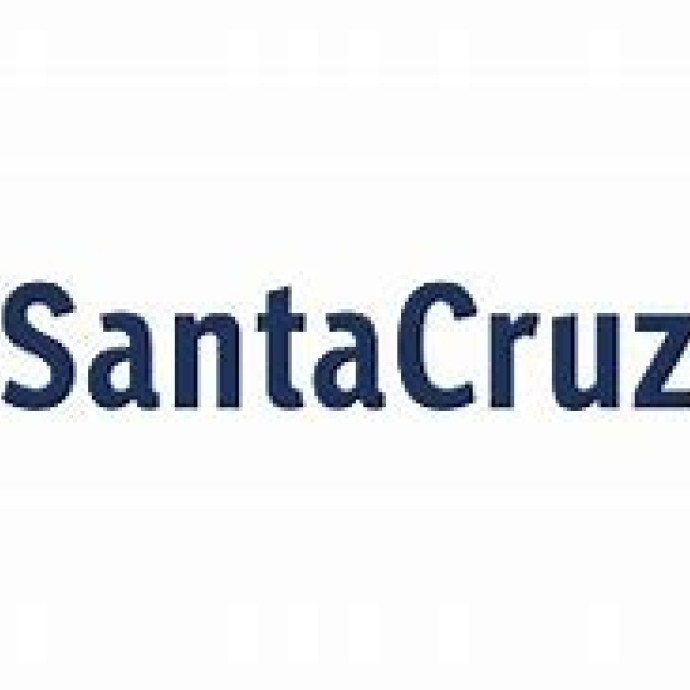 STA CRUZ CONTRATA AUX DE SERVIÇOS GERAIS