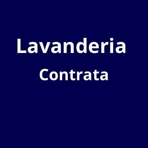 Assistente de Lavanderia
