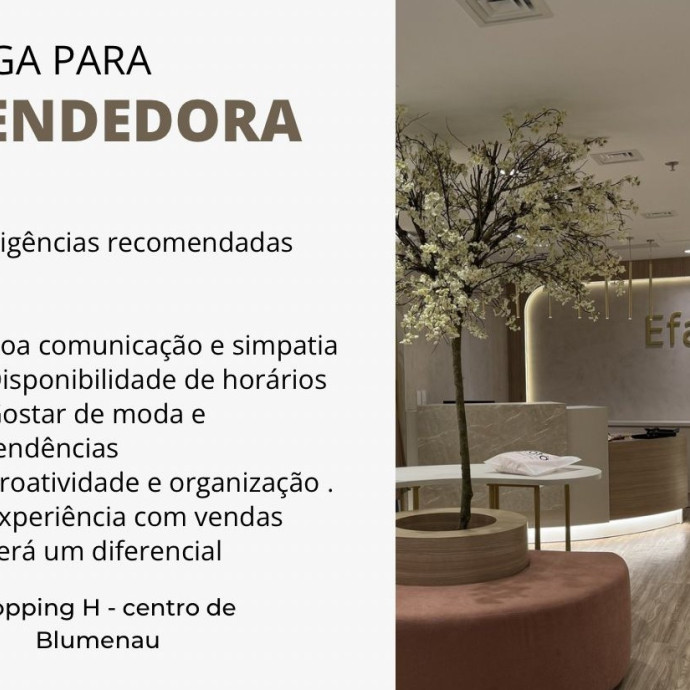 VENDEDORA - Salário  2.500 fixo + comissões