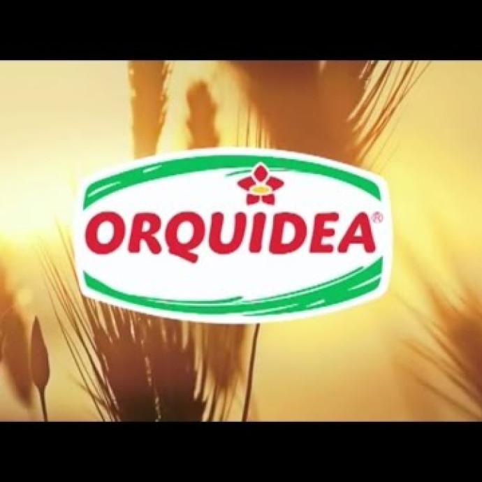 ORQUIDEA OFERECE 16 VAGAS