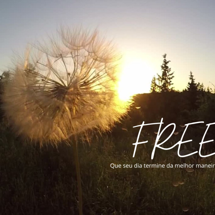 FREE_DIA 10