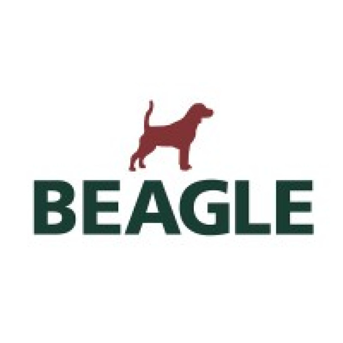 BEAGLE ESTA COM MUITAS VAGAS EM BLUMENAU